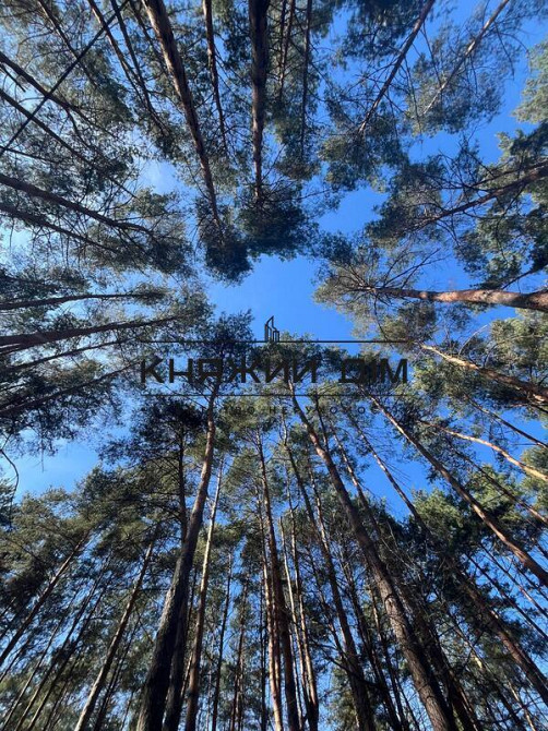 Продаж земельної ділянки 14 соток на вул. Котляревського Hlevakha - photo 19