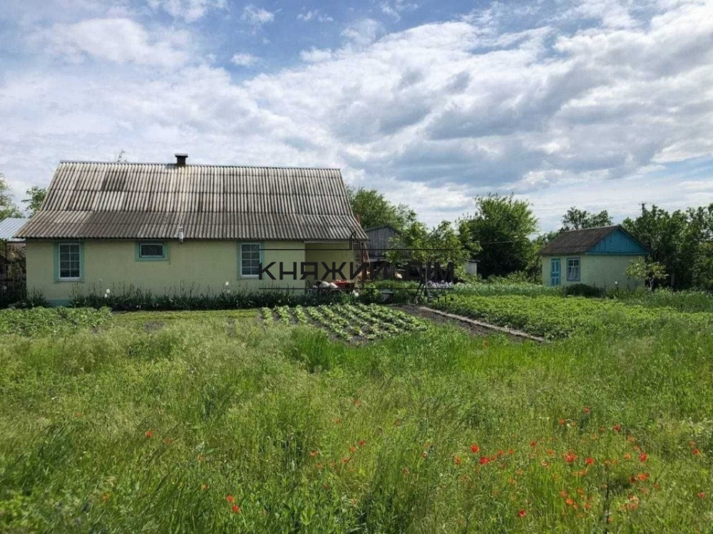 Продаж 1-поверховий Будинок з ділянкою 29 сот 119 кв.м    - фото 19