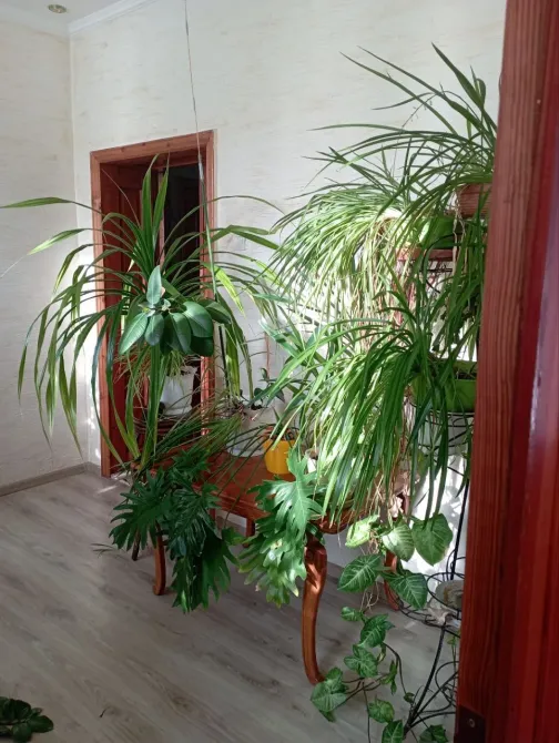 For sale 3-storey House with land 14 ares 425 sq.m 7+ rooms at фонтанКа Odessa - photo 17