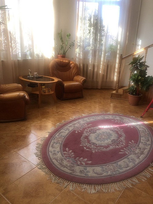 Продаж просторого будинку 540м у Петриках біля ліс  - фото 1