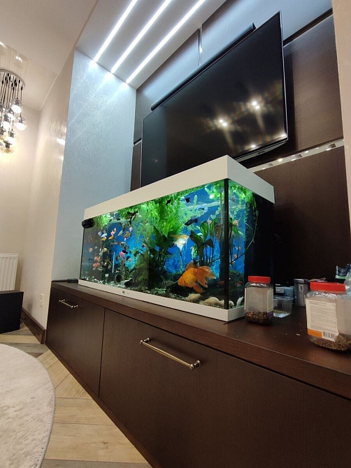 Велика 3-кімнатна квартира з дизайнерським ремонтом, Кропивницький - фото 12