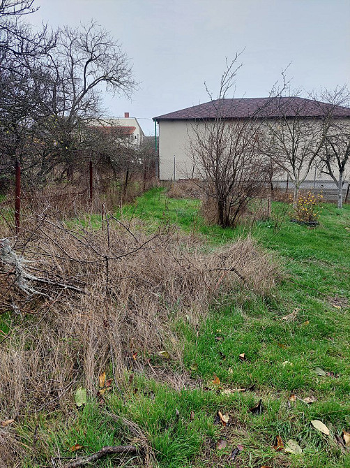 Продаж Будинок 3-кімнатний на ул. СК Агродор, 32 Авангард - изображение 3