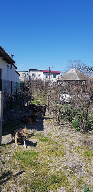 Дача  на морском побережье. Затока - фото 5