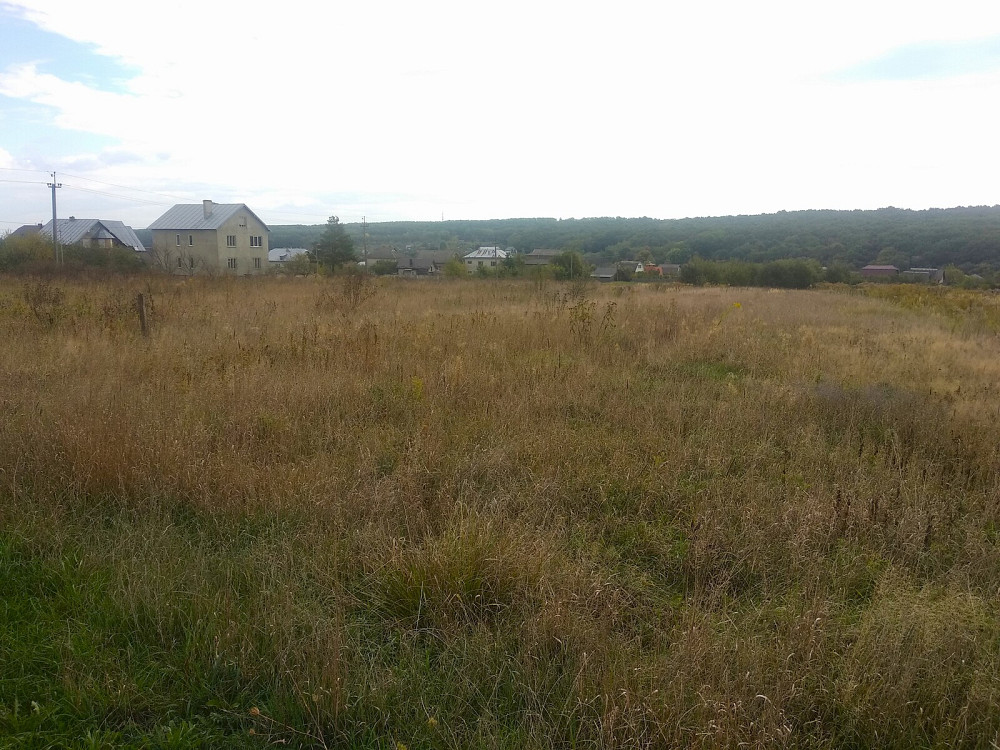 Продаж земельної ділянки 41.6 соток Pavlivka - photo 4