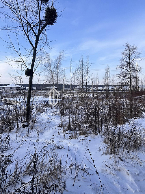 Продаж земельної ділянки 2 га Hnidyn - photo 18