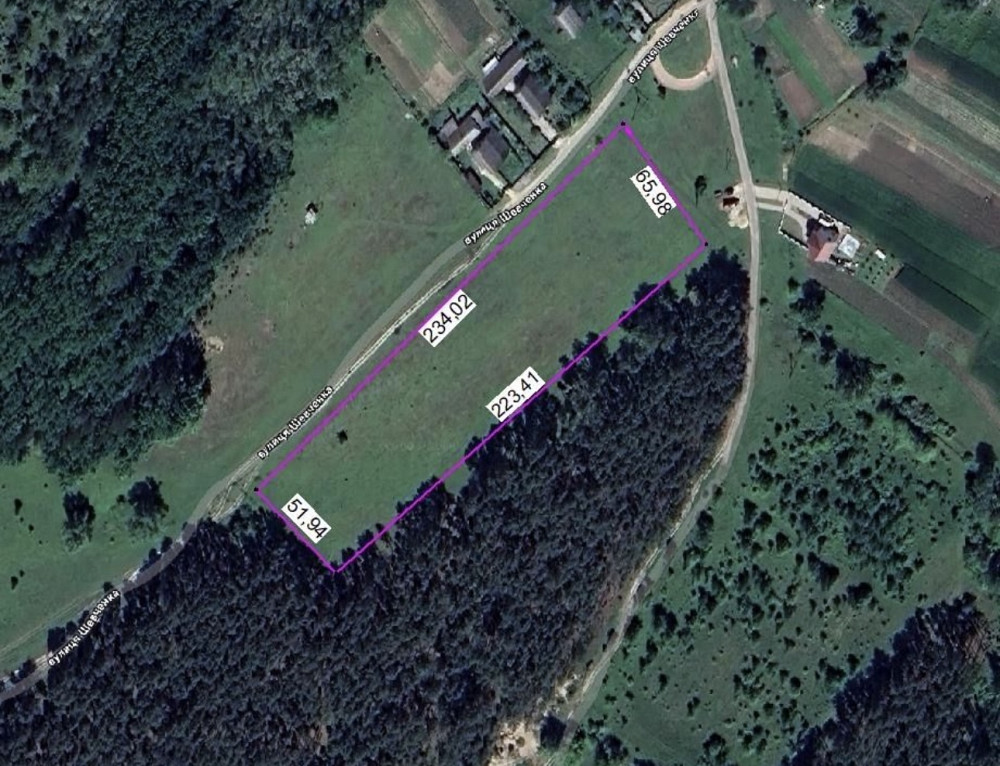 Продаж земельної ділянки 1.32 га на Левків Житомир - изображение 2