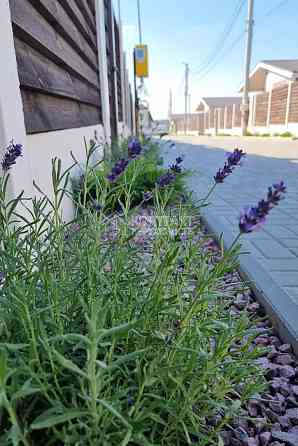 Продаж Будинок 4-кімнатний на вул. Межева 