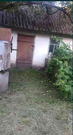 Продаж 1-поверховий Будинок з ділянкою 95 сот 75 кв.м 3 кімн. на С.Бабушки Чуднівський р-н Житомир