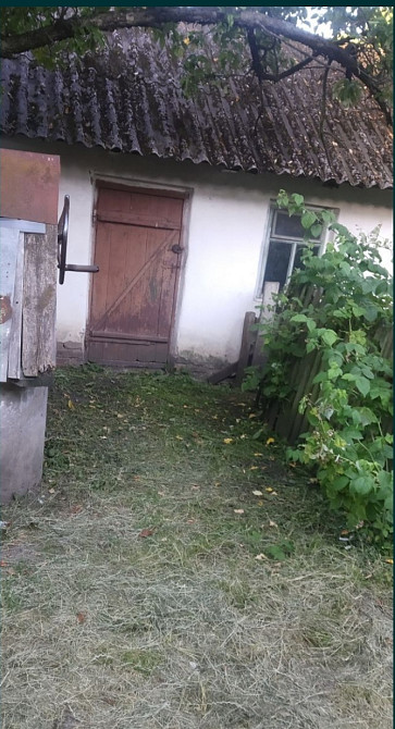 Продаж 1-поверховий Будинок з ділянкою 95 сот 75 кв.м 3 кімн. на С.Бабушки Чуднівський р-н Житомир - фото 3