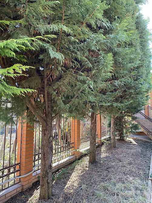 Дом в Элитном Кооперативе на 10 Станции Большого Фонтана Одеса - фото 13