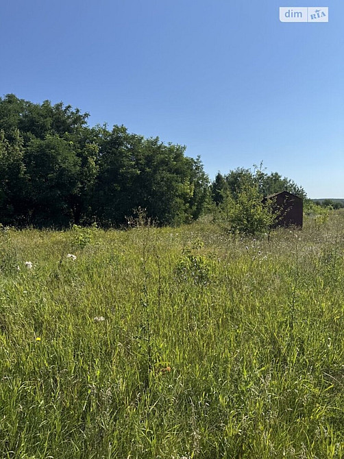 Продаж земельної ділянки 8 соток на масив Поляна Vinnytsya - photo 5