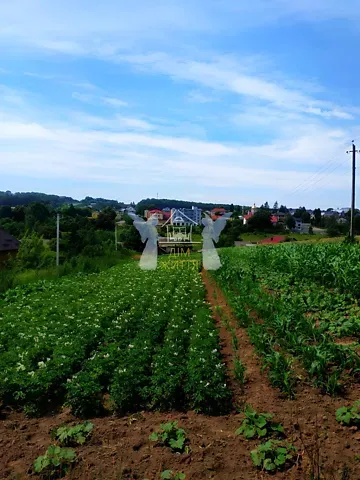 Продажа земельного участка  площадь 11 сот   - изображение 8