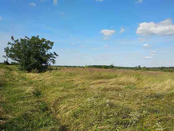 Продаж земельної ділянки 19 соток на Урочище за Оленою Вовковою 