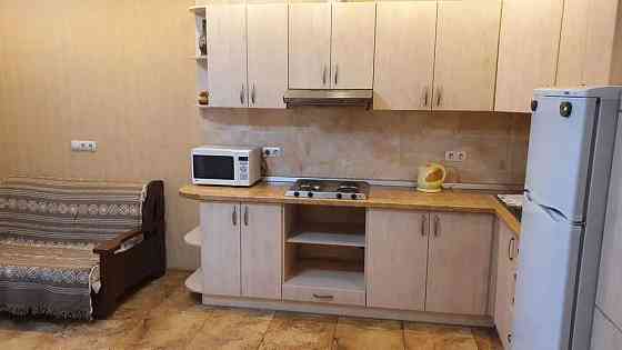 Оренда Квартира 1-кімнатна, 3/22 поверх на ул. Елены Пчилки Киев