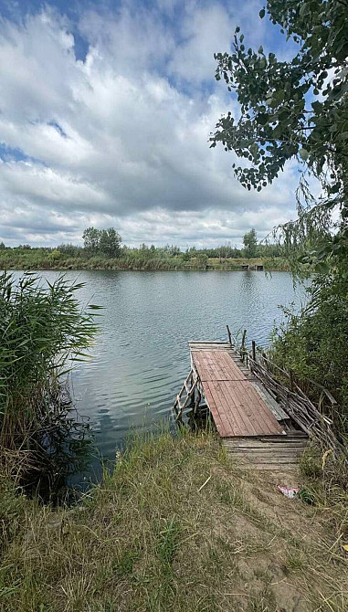 Продаж земельної ділянки 2.9 га  - photo 3