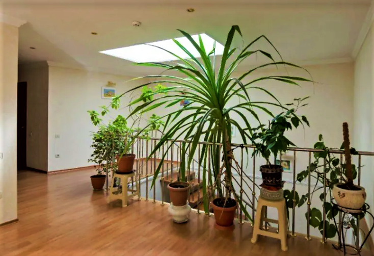 Просторный дом на 4 сотках земли Французский бульвар/ пляж Отрада Одеса - фото 5