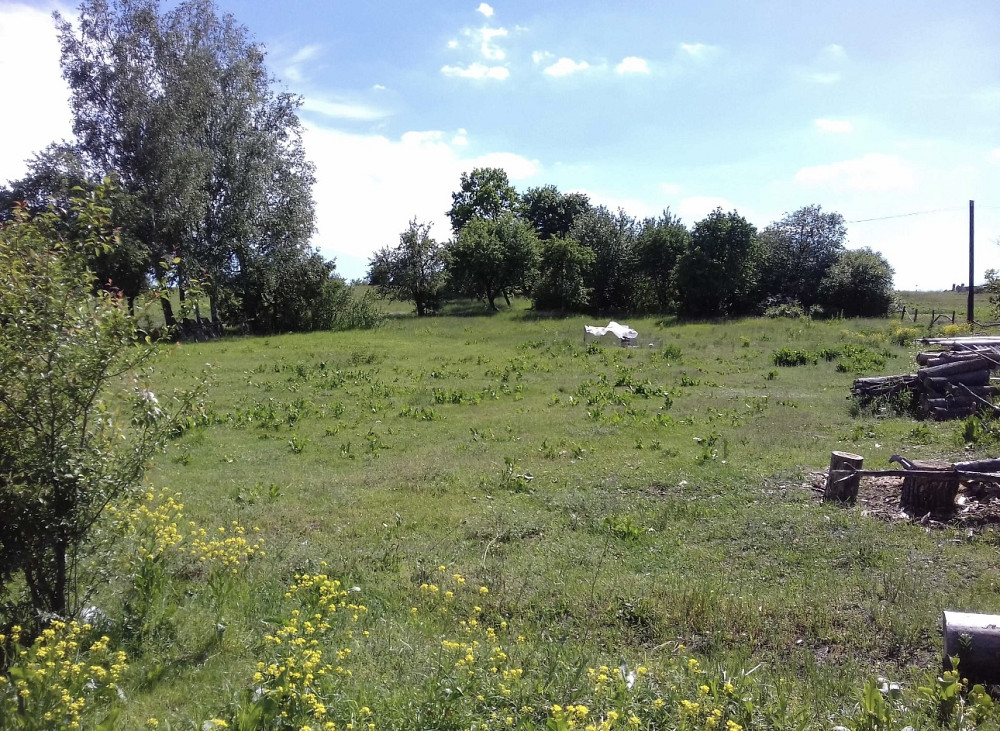 Продаж земельної ділянки 48 соток на Корчак Житомир - фото 4