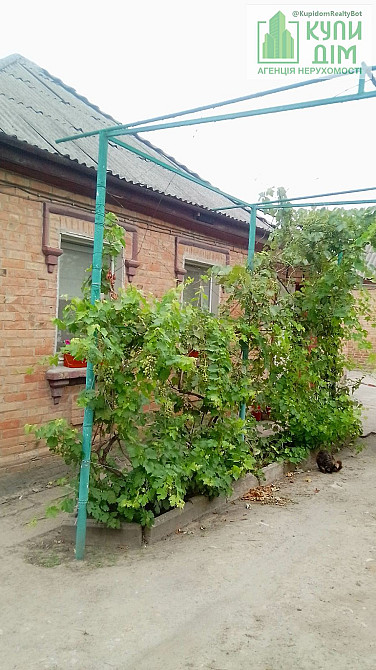 Продам два будинки на одній ділянці Кропивницький - фото 9