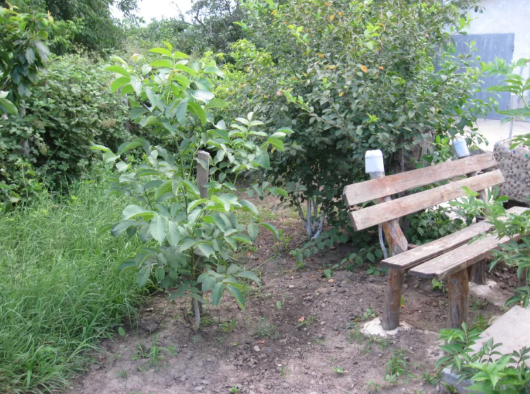 Продам дачу на берегу Б.Днестровского лимана Moloha - photo 9