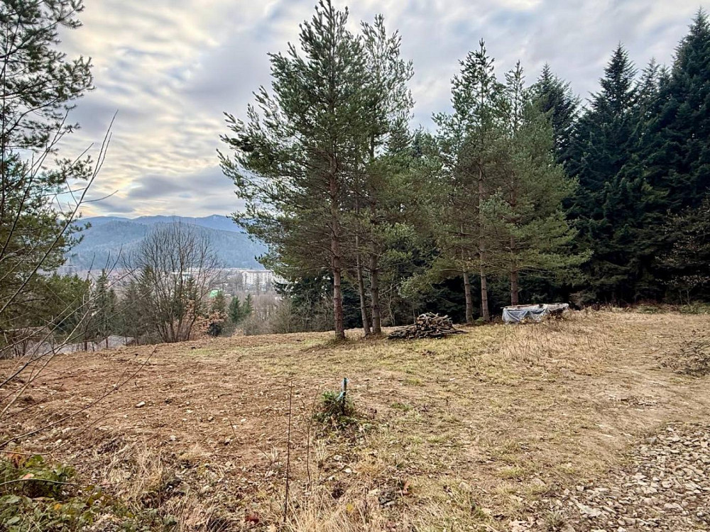 Продаж земельної ділянки 10 соток на вул. лісна Сколе - фото 7