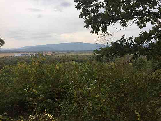 Продаж земельної ділянки 75 соток на вул. Шевченка Верхнє Синьовидне