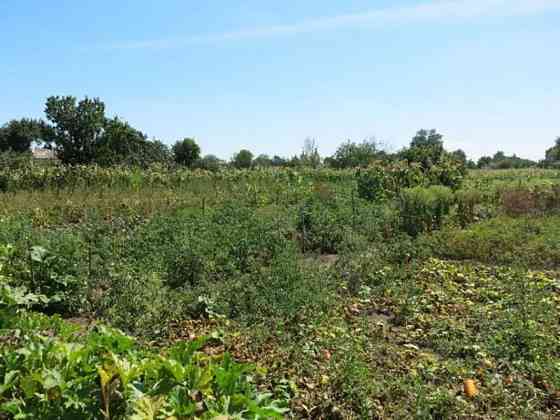 Продаж земельної ділянки 25 соток 