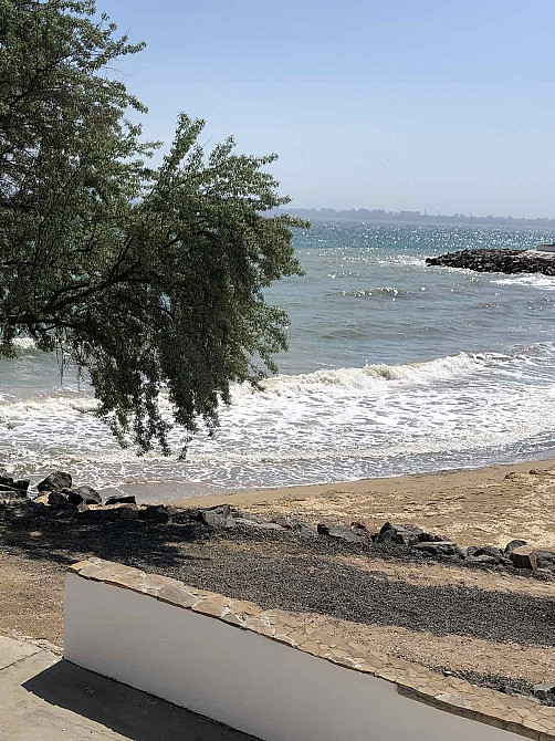 Сосновый берег Фонтанка - фото 10