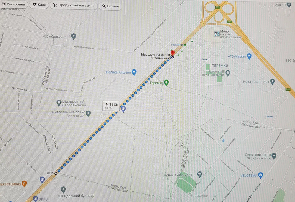 Оренда Квартира 1-кімнатна, 22/24 поверх на Приміська, 24 Київ - фото 8
