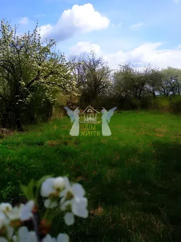 Продажа земельного участка  площадь 12 сот 1  - изображение 4