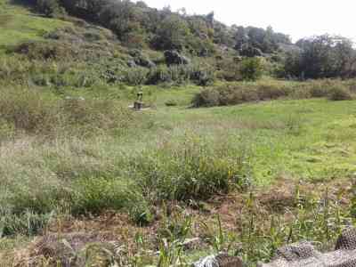 Продаж земельної ділянки 16 соток на ул. Лиманская, 12 Нерубайское