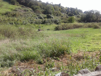 Продаж земельної ділянки 0.2 соток на ул. Лиманская, 12 Нерубайське - фото 6