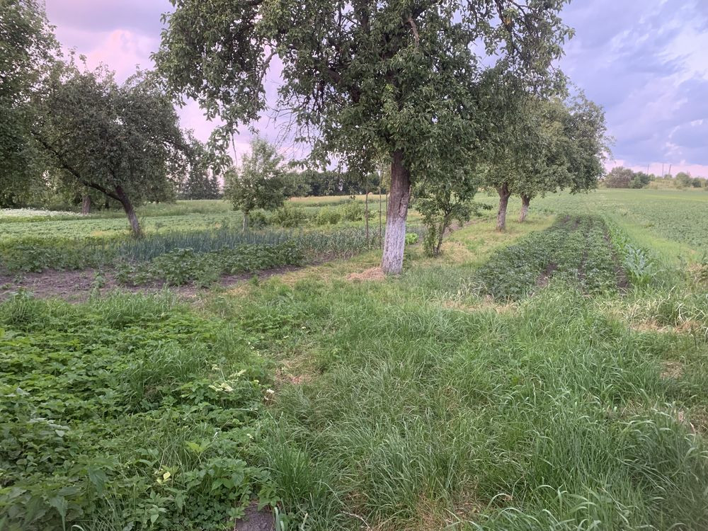 Продаж Квартира  - photo 11