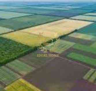 Продаж земельної ділянки 50 соток на Дружбы ул. Липівка