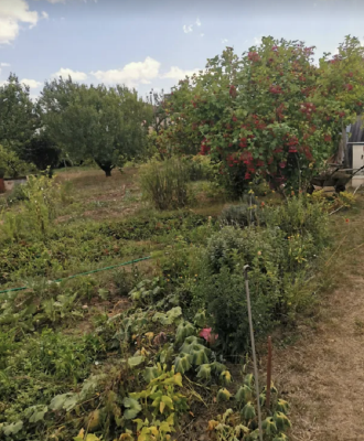 Продаж земельної ділянки 0.1 соток на ул. Виноградная, 15 Limanka