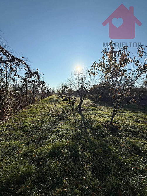 Продаж будинку у с. Шишлівці!  - photo 11