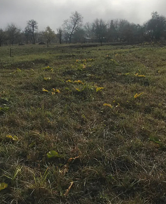 Продаж земельної ділянки 10 соток  - фото 3