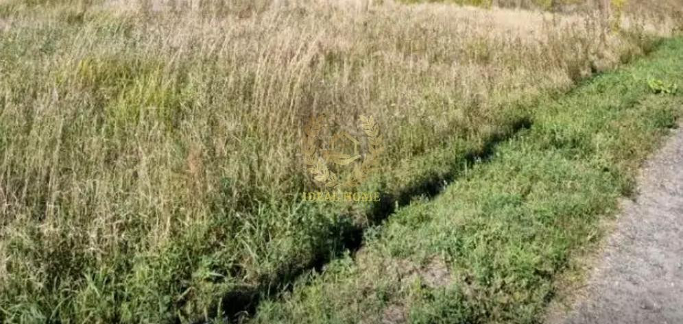 Продаж земельної ділянки 4 соток на Вишневая ул., 17 Yuriv - photo 4