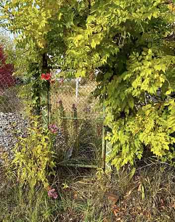 Продаж Будинок 6-кімнатний на вул. СТ Родник 