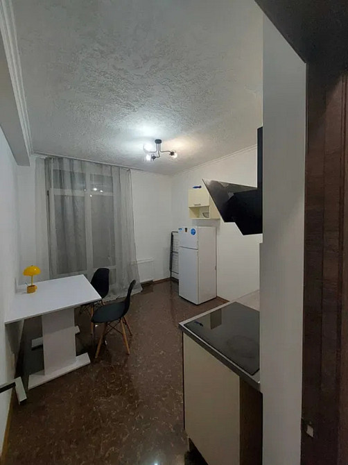 Оренда Квартира 1-кімнатна, 15/16 поверх на Вацлава Гавела, 28 Київ - фото 5