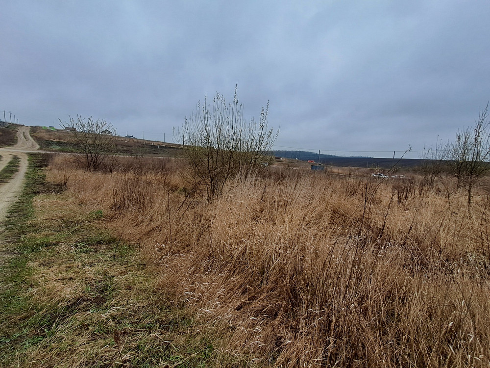 Продаж земельної ділянки 6 соток Тернопіль - фото 7