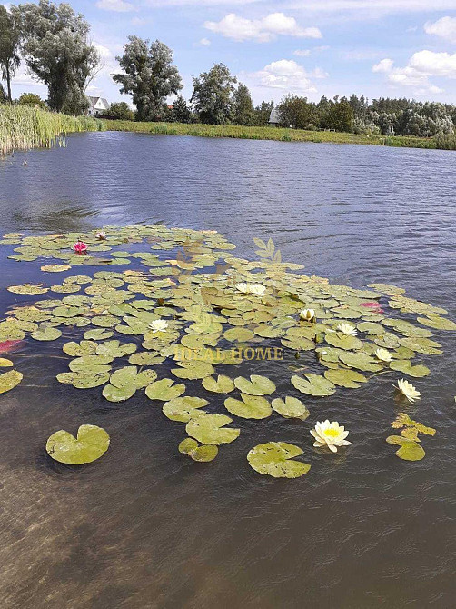 Продаж Будинок 3-кімнатний  - фото 9