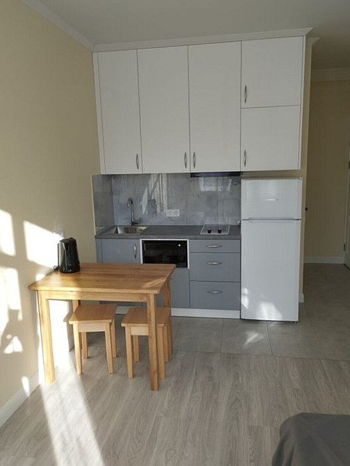 Оренда Квартира 1-кімнатна, 4/21 поверх на Братів Чибінєєвих, 8а Kiev - photo 3