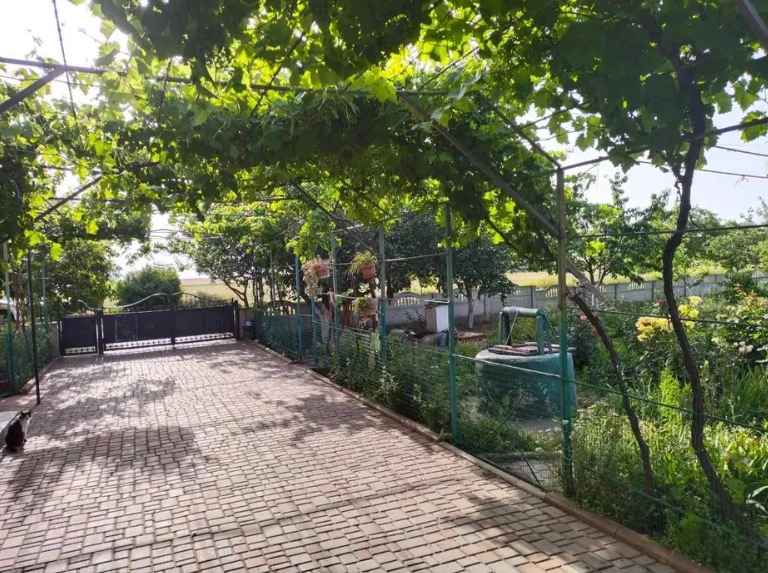 Продам дом с газом и удобствами в с.Луговое (Николаевская обл., 12 км до Коблево) Лугове - фото 17