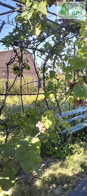 Продаж земельної ділянки 20 соток на Миру Кропивницький - фото 3