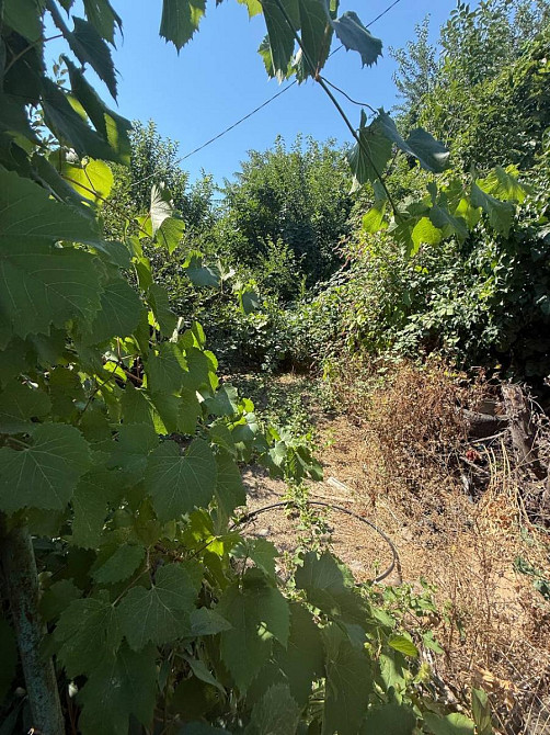 Продаж земельної ділянки на Вул. Червоних Зор, 6/4 Одеса - фото 6