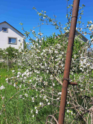 Продаж земельної ділянки 0.2 соток на ул. Шевченка, 10 Одеса - фото 7