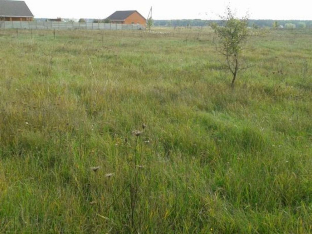 Продаж земельної ділянки 25 соток  - фото 2