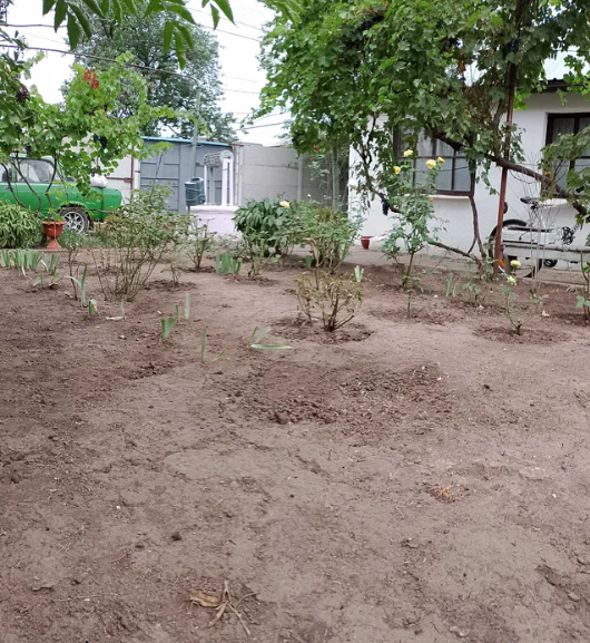 Продам дом-дачу в с.Светлое (5 км от Одессы) Світле - фото 13