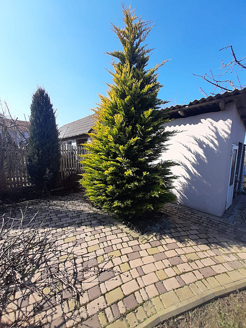 Дом в Нерубайске, 15 минут от Одессы, рядом Усатово, Слободка Нерубайське - фото 12