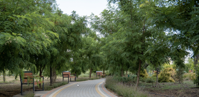 Продаж земельної ділянки 0 соток на КООП Хуторок, 4/35 Limanka